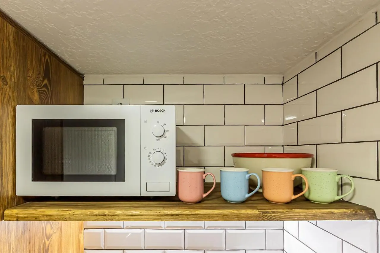 Appartement Kyiv Brown Loft