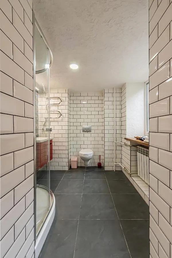 公寓 Kyiv Brown Loft公寓